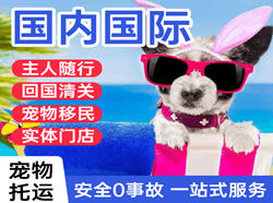 五大连池德都国际宠物托运 【国